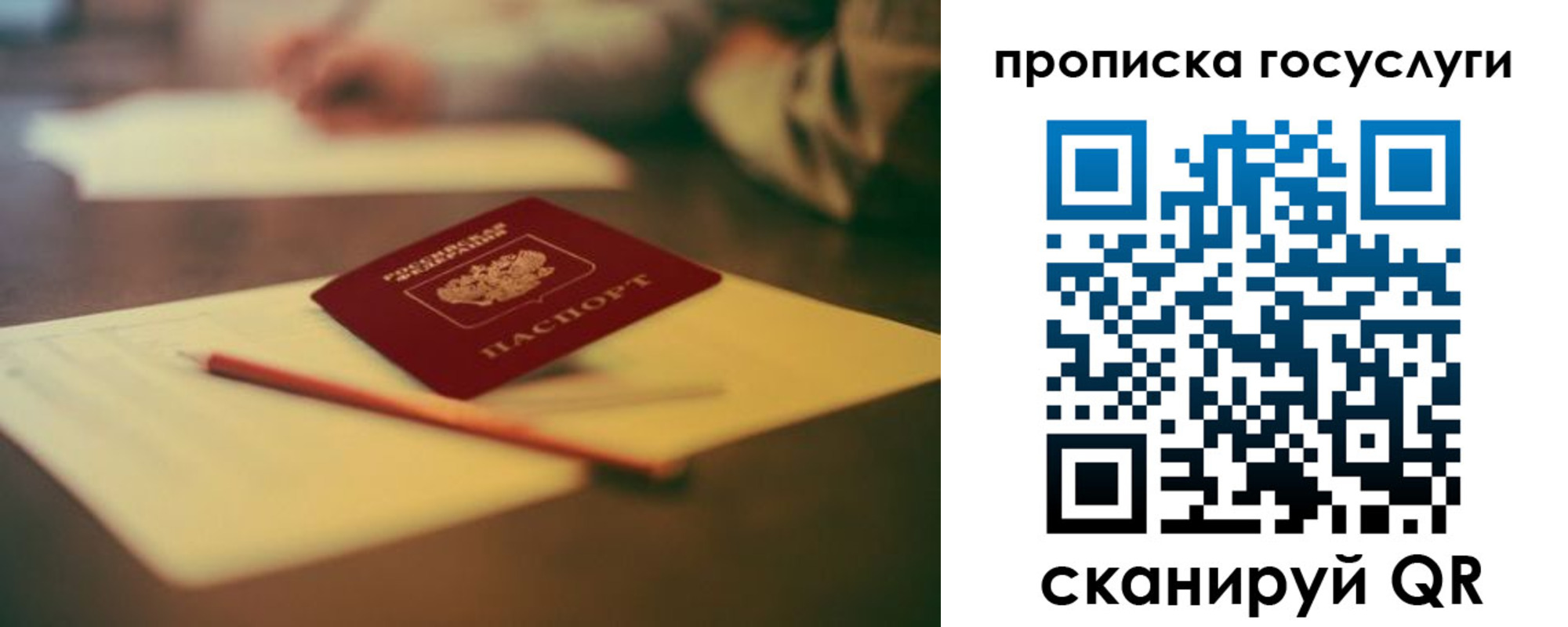 прописка для школы в Кировске
